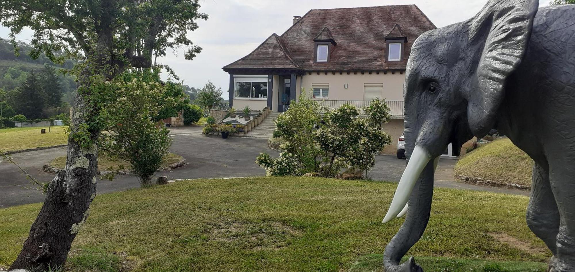 Bed and Breakfast Domaine Du Grezal Sarlat Esterno foto